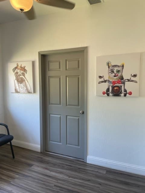 Clinic hallway with pet artwork